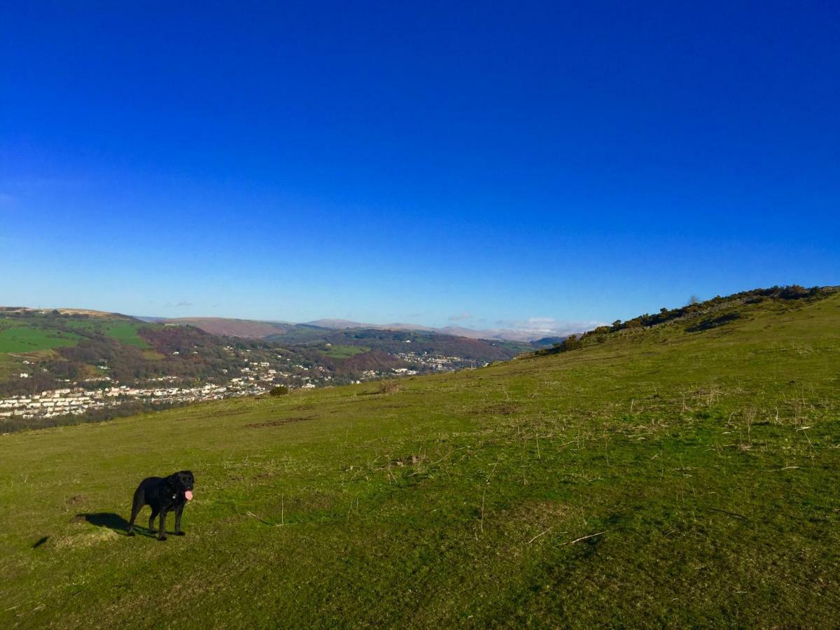 Cilhendre Holiday - The Dairy Holiday home